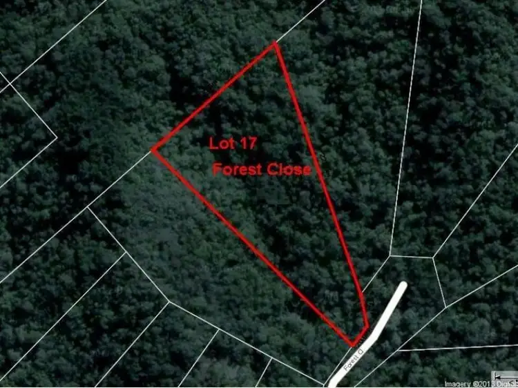 Seventh view of Homely land listing, Lot 16 Forest Close, Daintree QLD 4873