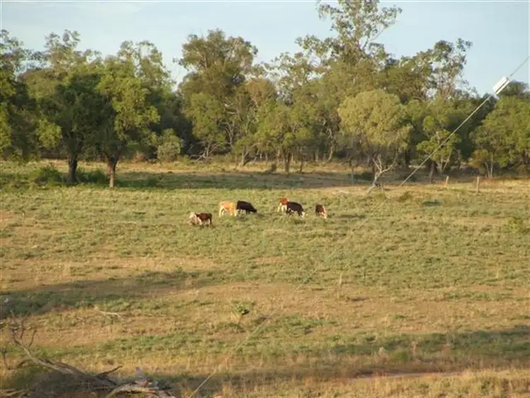 Seventh view of Homely house listing, 767 Six Mile Road, Roma QLD 4455