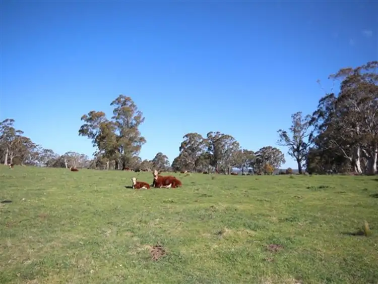 Third view of Homely rural property listing, Address available on request