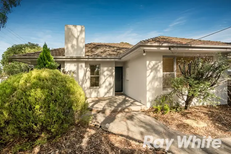 Main view of Homely house listing, 24 Crest Grove, Nunawading VIC 3131