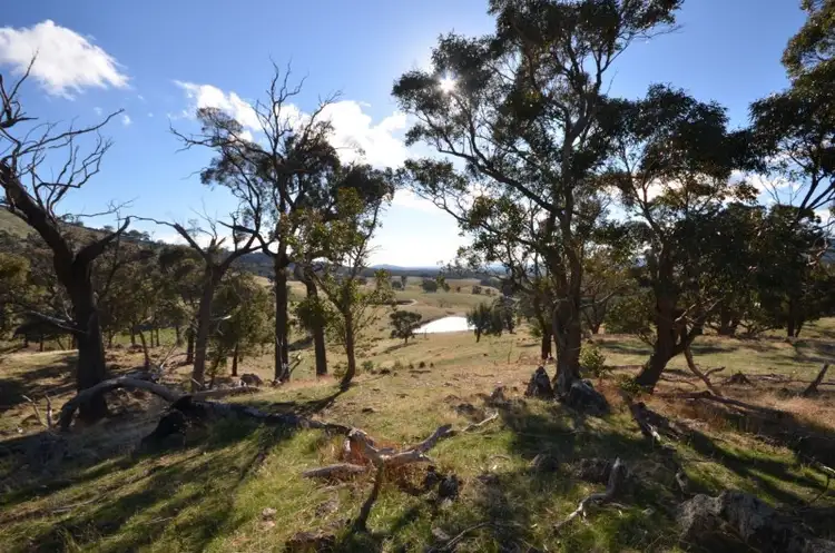 Seventh view of Homely rural property listing, CA 24 +24B Landsborough-Elmhurst Road, Landsborough VIC 3384