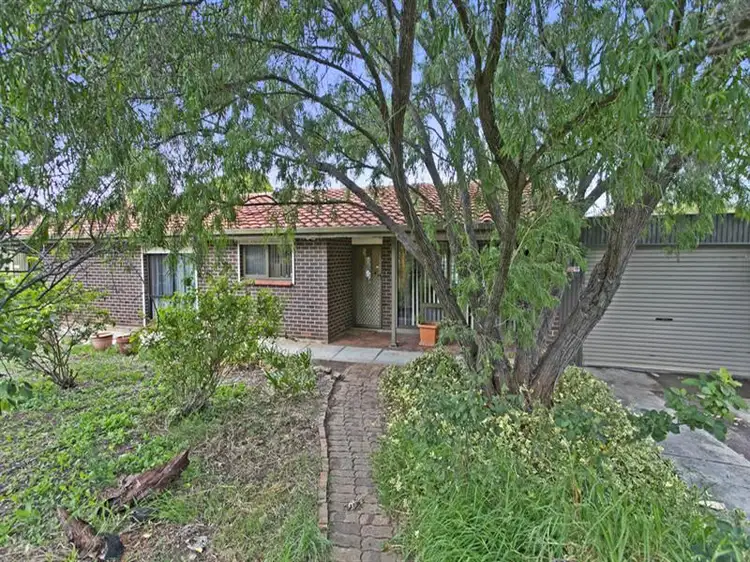 Main view of Homely house listing, 445 Wright Road, Valley View SA 5093
