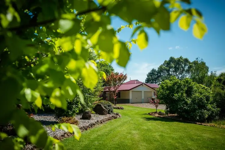 Second view of Homely rural property listing, 695 Tyringham Road, Dorrigo NSW 2453
