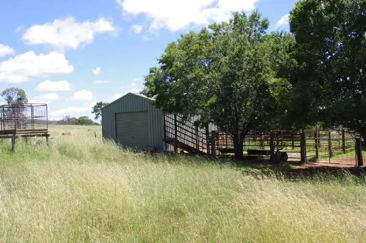 Fifth view of Homely rural property listing, 7360 Gwydir Highway, Inverell NSW 2360