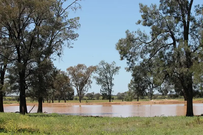 Main view of Homely rural property listing, 0 LAPGATE Road, Westmar QLD 4422