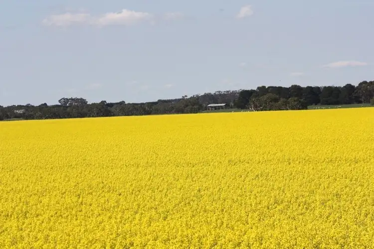 Sixth view of Homely rural property listing, 1000 Woorndoo-Sthreatham Road, Woorndoo VIC 3272