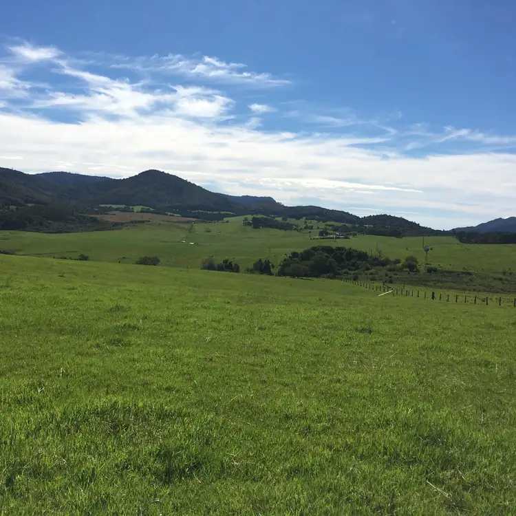 Fourth view of Homely land listing, 90 Everinghams Road, Dorrigo NSW 2453