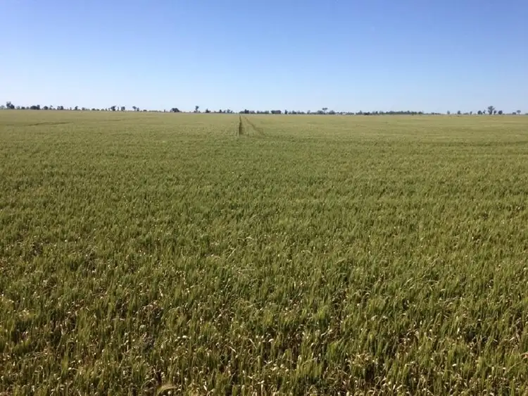 Second view of Homely rural property listing, 1283 Custon Road, Wolseley SA 5269