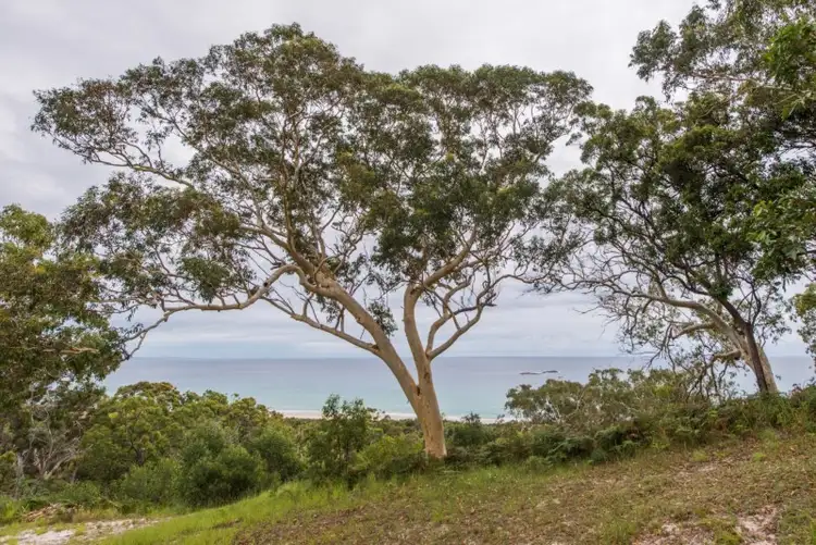 Sixth view of Homely house listing, 77 Tramican Street, Point Lookout QLD 4183