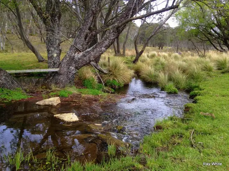 Main view of Homely rural property listing, 1896 Crow Valley, Captains Flat NSW 2623