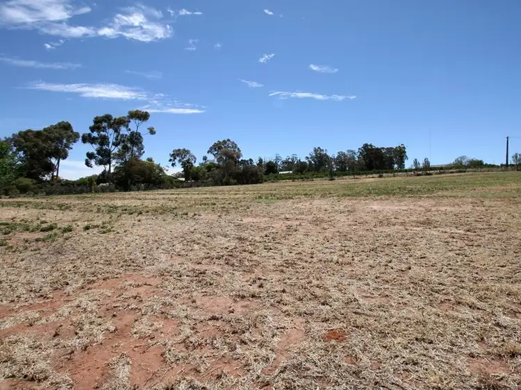 Lot 55 Fenwick Road, Berri SA 5343
