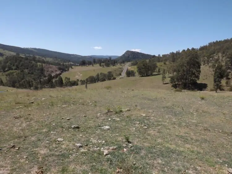 Seventh view of Homely rural property listing, Lots 1 Carrowbrook Road, Singleton NSW 2330