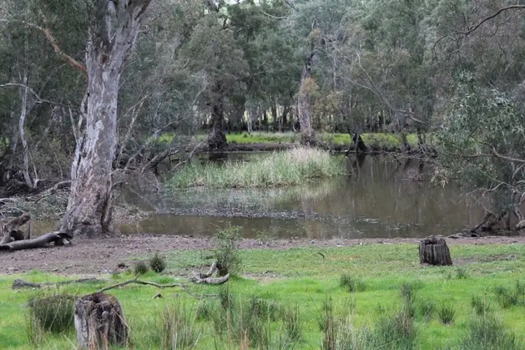 Main view of Homely rural property listing, 1234 Tea Tree Creek Road, Harrow VIC 3317