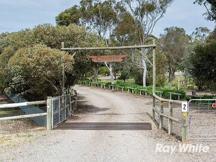 Main view of Homely rural property listing, 2 South Terrace, Callington SA 5254