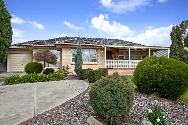 443 Grenfell Road, Banksia Park SA 5091