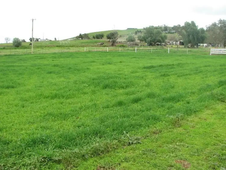 Third view of Homely rural property listing, 4220 Belubula Way, Canowindra NSW 2804