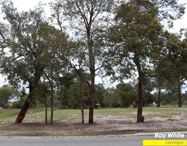 Seventh view of Homely land listing, 67 Luyer Avenue, East Cannington WA 6107