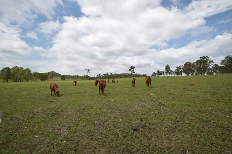 Main view of Homely rural property listing, 250 Kavanaghs Road, Buaraba QLD 4311