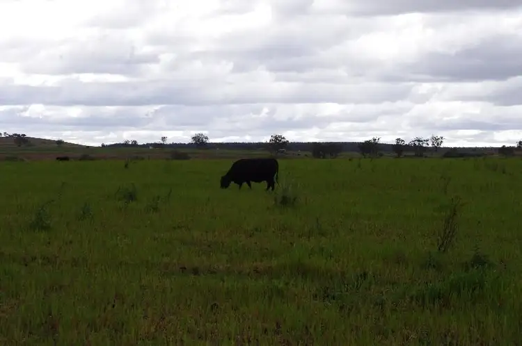 Main view of Homely rural property listing, House Block Bingara Road, Inverell NSW 2360