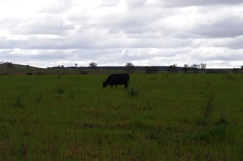 Main view of Homely rural property listing, House Block Bingara Road, Inverell NSW 2360
