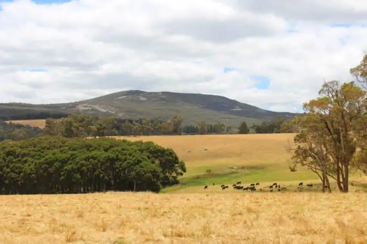 Second view of Homely rural property listing, 53 McNess Road, Denmark WA 6333