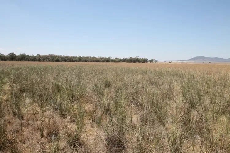 Sixth view of Homely rural property listing, 1417 Howes Hill Road, Spring Ridge NSW 2343