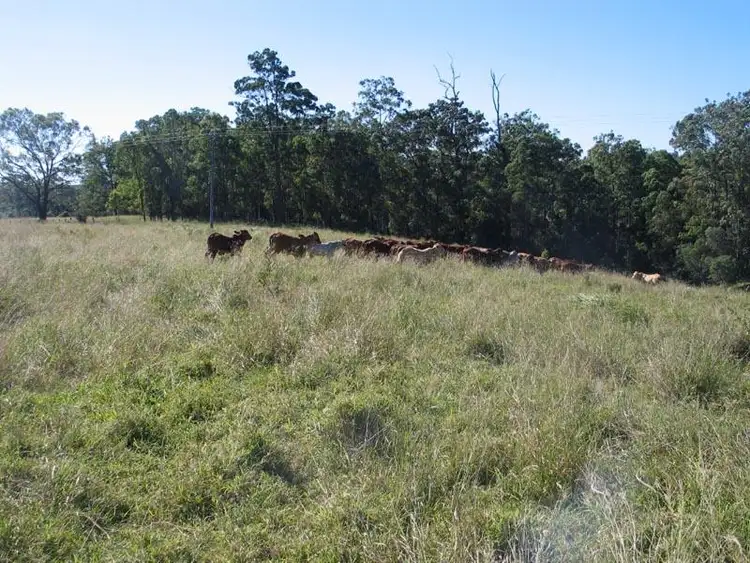 Sixth view of Homely rural property listing, Address available on request