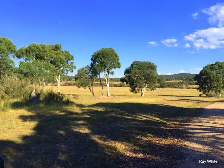 Seventh view of Homely rural property listing, 1114 Bombay Road, Braidwood NSW 2622