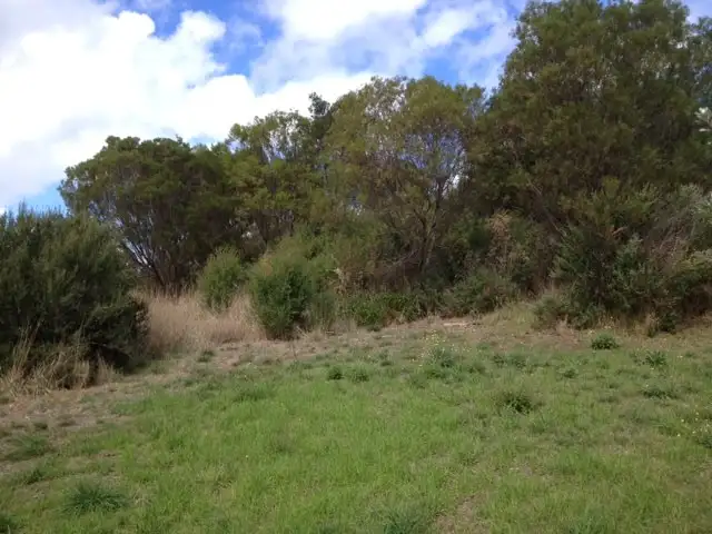 Seventh view of Homely land listing, 2 Tralee Lane, Fingal VIC 3939