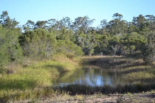 Main view of Homely land listing, Lot 31 Tanby Post Office Road, Bondoola QLD 4703