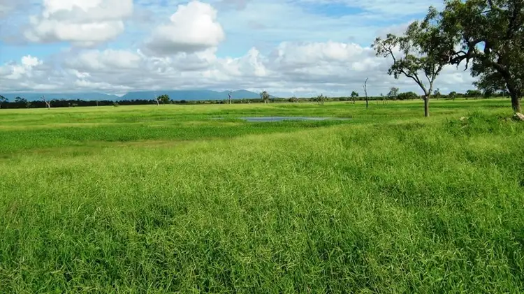 Fifth view of Homely rural property listing, . Rainbow Station, Ayr QLD 4807