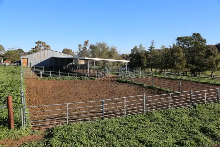 Fourth view of Homely rural property listing, 105 Peakview Road, Young NSW 2594