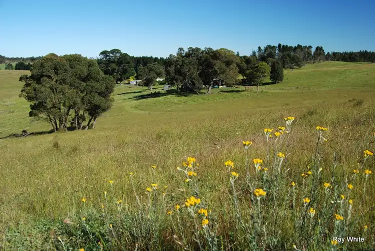 Second view of Homely rural property listing, 3600 Nerriga Road, Braidwood NSW 2622
