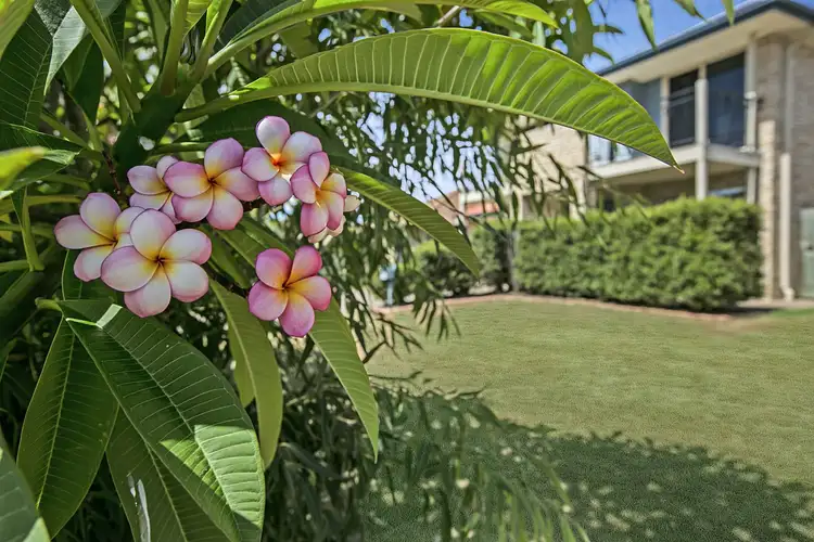 Main view of Homely house listing, 67 Cottonwood Circuit, North Lakes QLD 4509