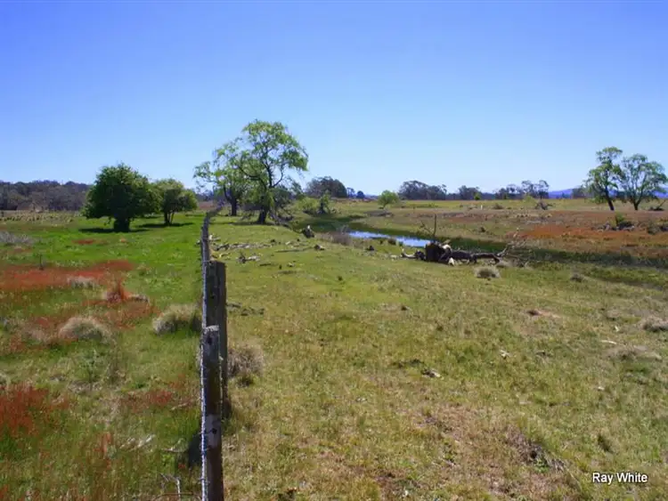 Fourth view of Homely rural property listing, 318 Larbert Road, Braidwood NSW 2622