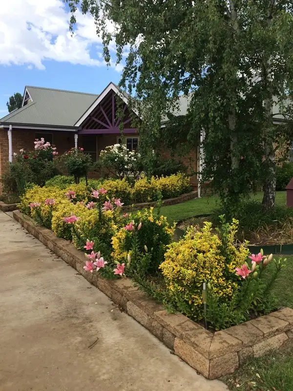 Main view of Homely house listing, 38 Heron, Glen Innes NSW 2370
