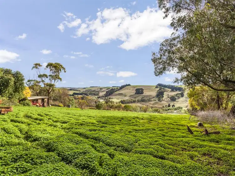 Second view of Homely house listing, 145 Lemins Road, Waurn Ponds VIC 3216
