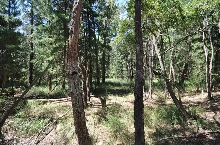 Fourth view of Homely land listing, Lot 1 Glenelg Highway, Linton VIC 3360