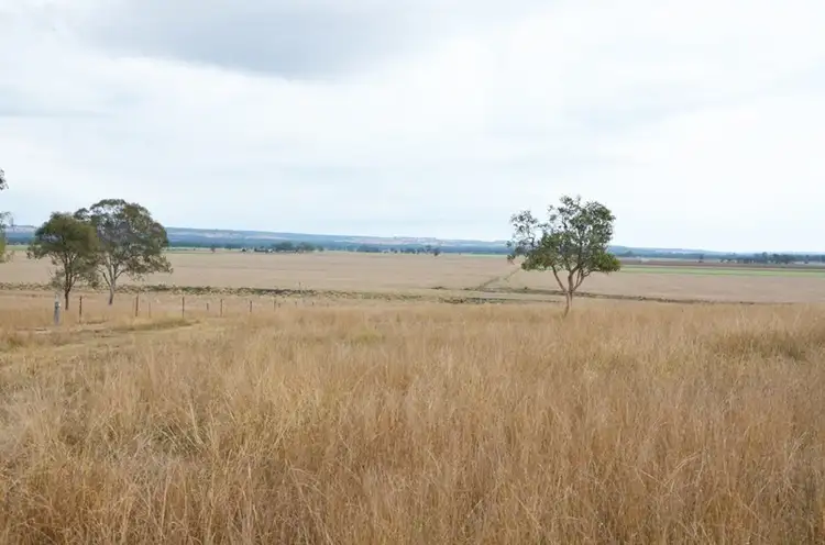 Main view of Homely rural property listing, 237 Beers Road, Wondai QLD 4606