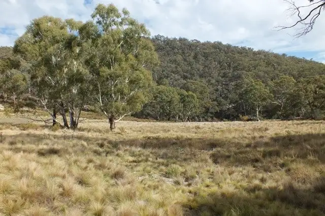 Main view of Homely rural property listing, 209 Soliders Hill Road, Wisemans Creek NSW 2795