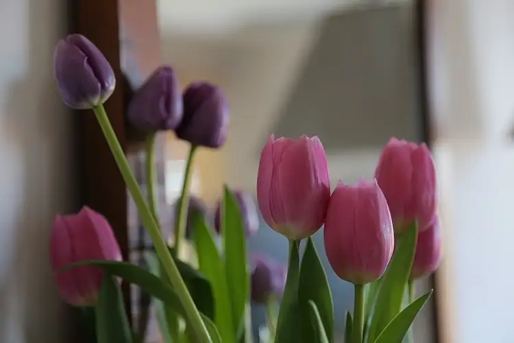 Third view of Homely house listing, 11 Jacaranda Avenue, Glenning Valley NSW 2261