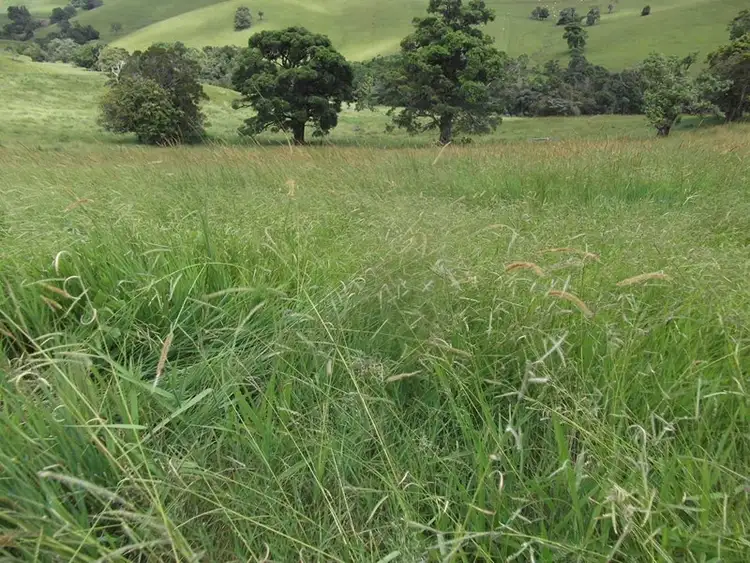 Sixth view of Homely rural property listing, Address available on request