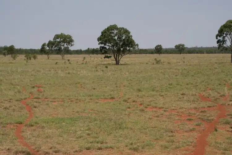 Fifth view of Homely rural property listing, 0 GLENMORE, Surat QLD 4417