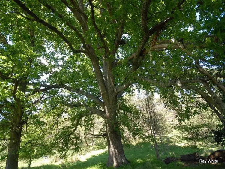 Third view of Homely rural property listing, Lot 104 Red Hill Road, Braidwood NSW 2622