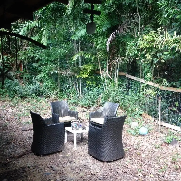 Fourth view of Homely house listing, 316 Mowbray River Road, Mowbray QLD 4877