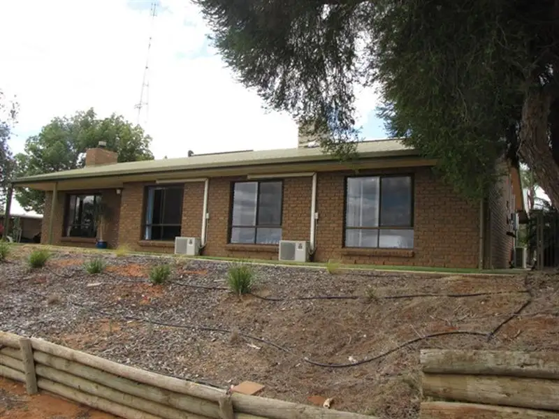 Main view of Homely rural property listing, 39 Trenaman Road, Glossop SA 5344