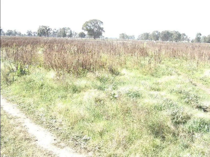 Main view of Homely land listing, 181 - 189 Hume Street, Howlong NSW 2643