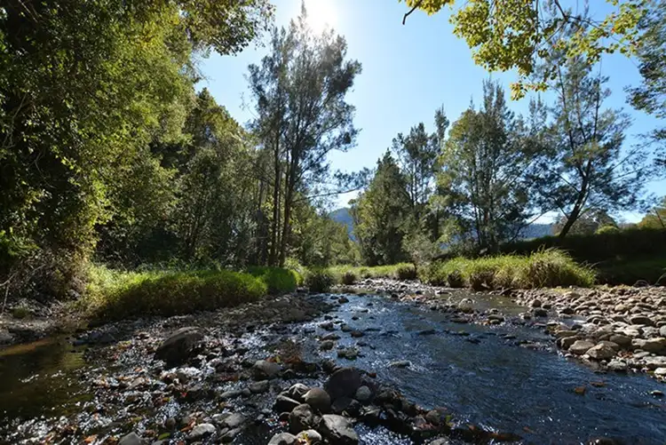 129 Hoggs Road, Tyalgum NSW 2484