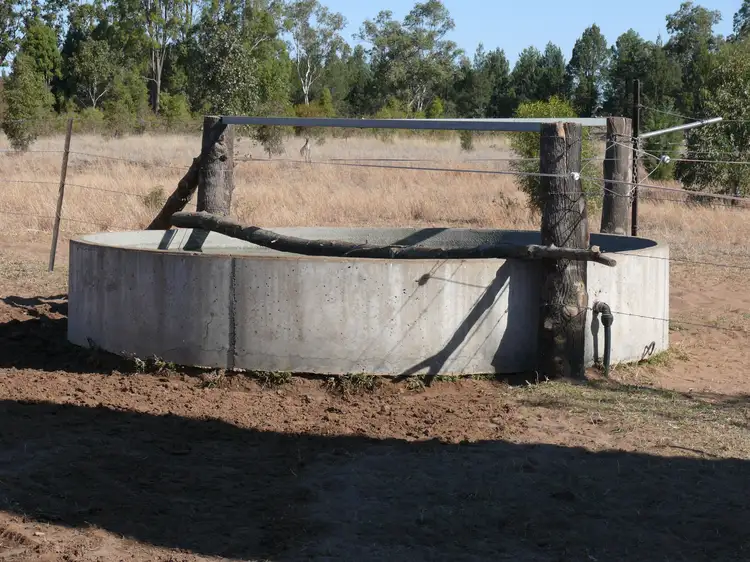 Fifth view of Homely rural property listing, 239 Bungeworgorai Lane, Roma QLD 4455