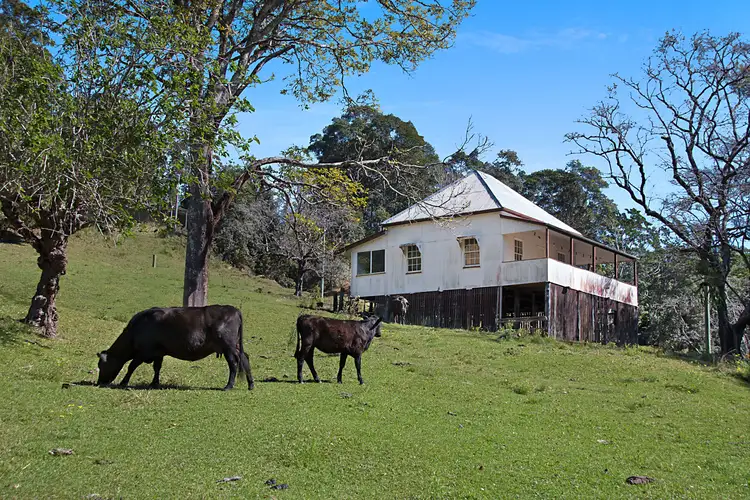 Main view of Homely rural property listing, 679 Urliup Road, Urliup NSW 2484